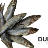 DAF Raw Herring 1kg ❄
