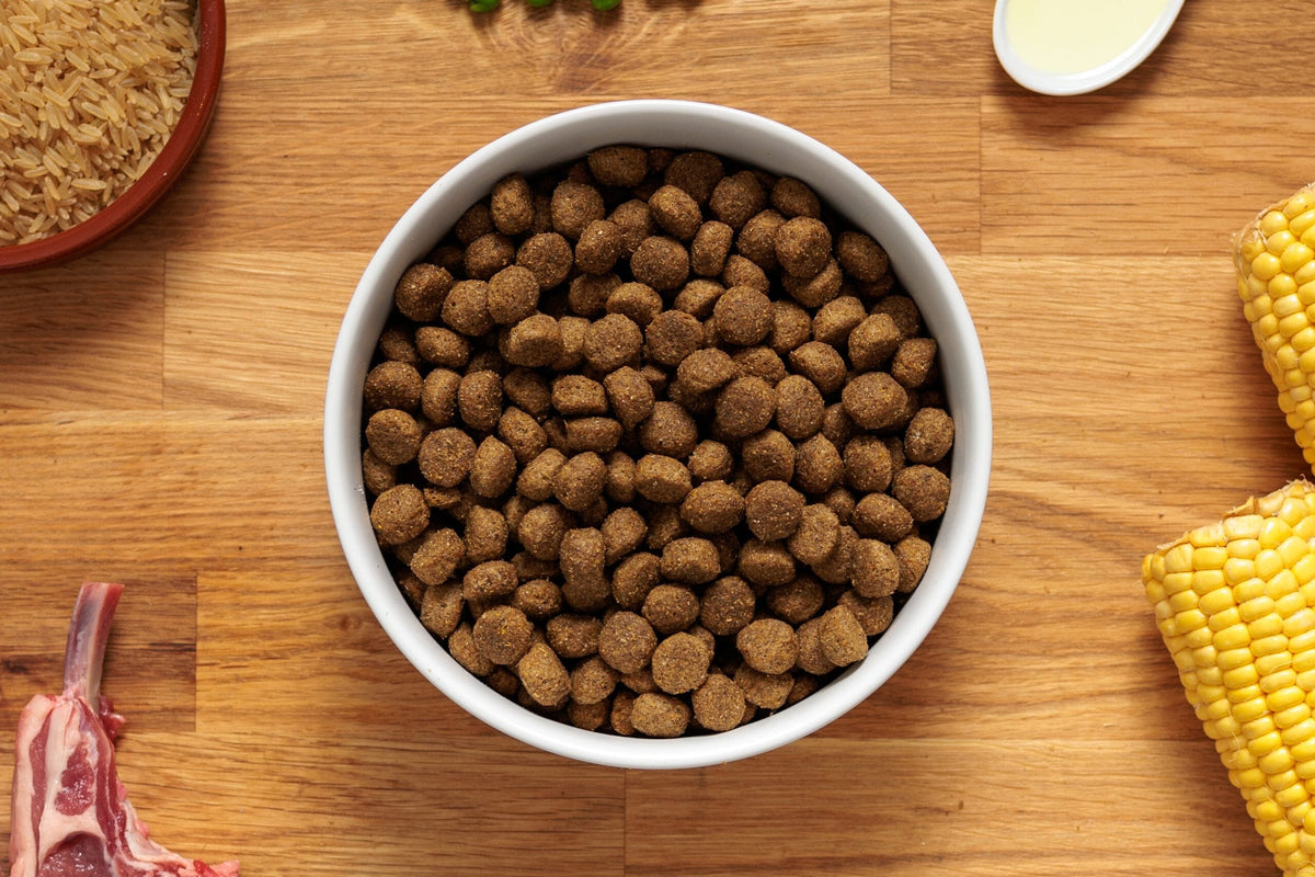 Dr John Hypoallergenic Lamb & Rice Dry Dog Food 12.5kg Dry Dog Food Dr John 