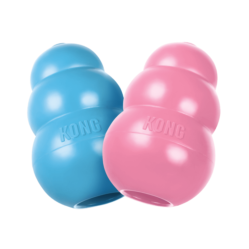 KONG Puppy Large EU Dog Toys KONG 