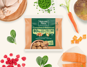 Natures Menu 80/20 Chicken & Salmon Raw Dog Food Nuggets 1kg Raw Dog Food Natures Menu 