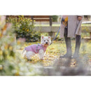 Trixie Pontis Rain Coat/Harness All-In-One Pink Trixie 
