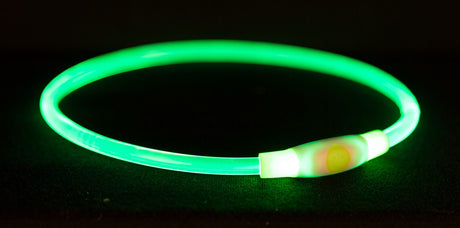 Trixie USB LED Dog Collar S-M Green 40cm Dog Safety Lights Trixie 