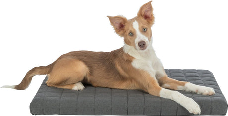 Trixie Caliente Vital Mattress 75 x 55cm Dark Grey Dog Beds TRIXIE 