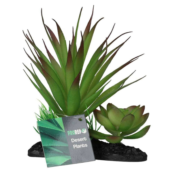 Pro Rep Agave Plant On Log 15cm Pro Rep 