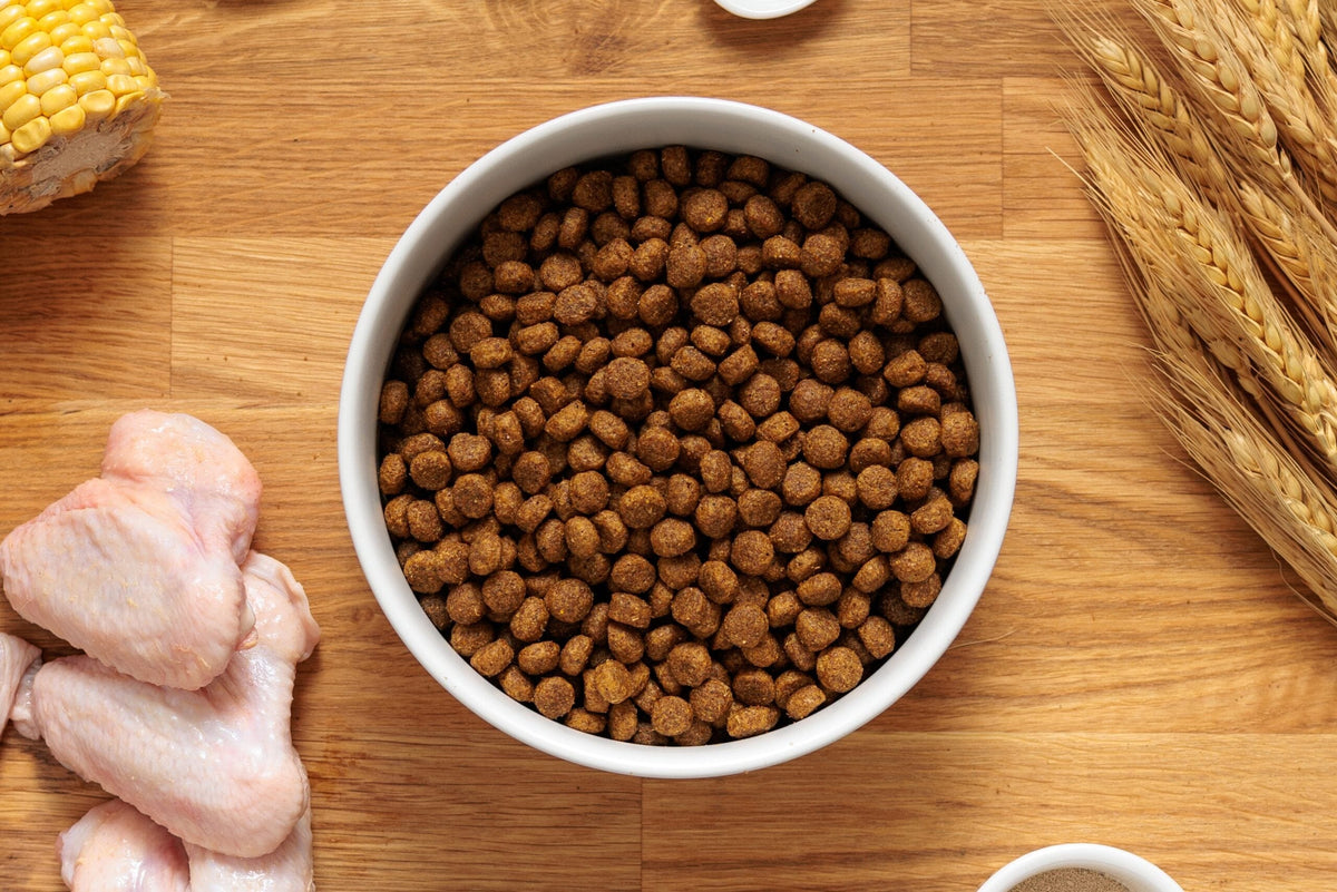 Dr John Puppy Chicken Complete Dry Puppy Food 10kg Dry Dog Food Dr John 