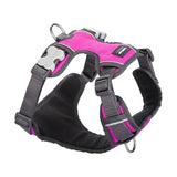 Red Dingo Padded Harness Red Dingo Large Hot Pink 