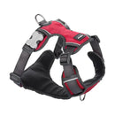 Red Dingo Padded Harness Red Dingo Large Red 