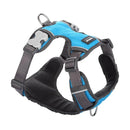 Red Dingo Padded Harness Red Dingo Medium Turquoise 