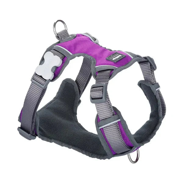 Red Dingo Padded Harness Red Dingo Medium Purple 