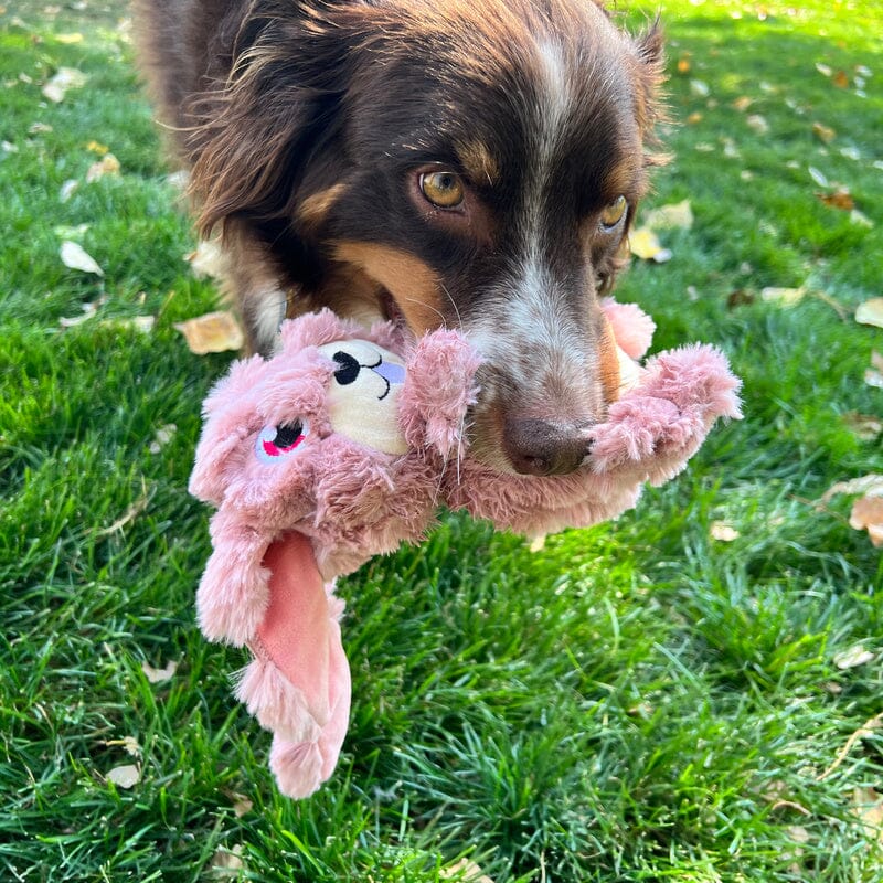 KONG Scumplez Bunny Medium KONG 
