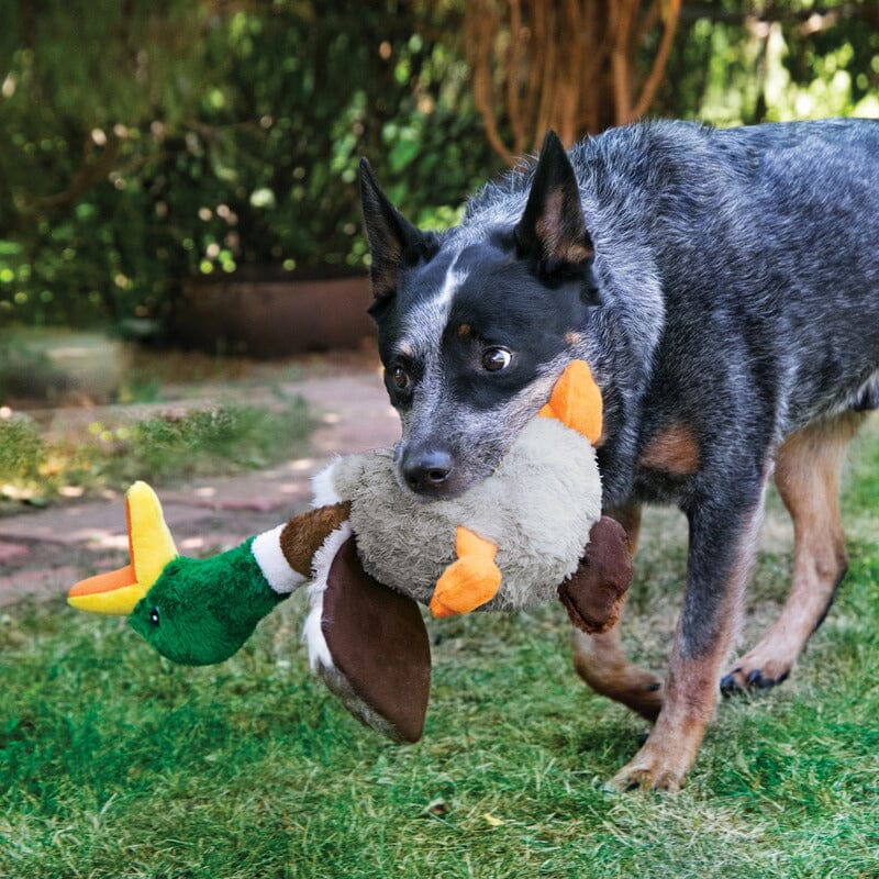 KONG Shaker Honk Duck Large Dog Toys KONG 