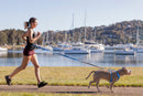 Red Dingo SuperLead Running - Classic Red Red Dingo 