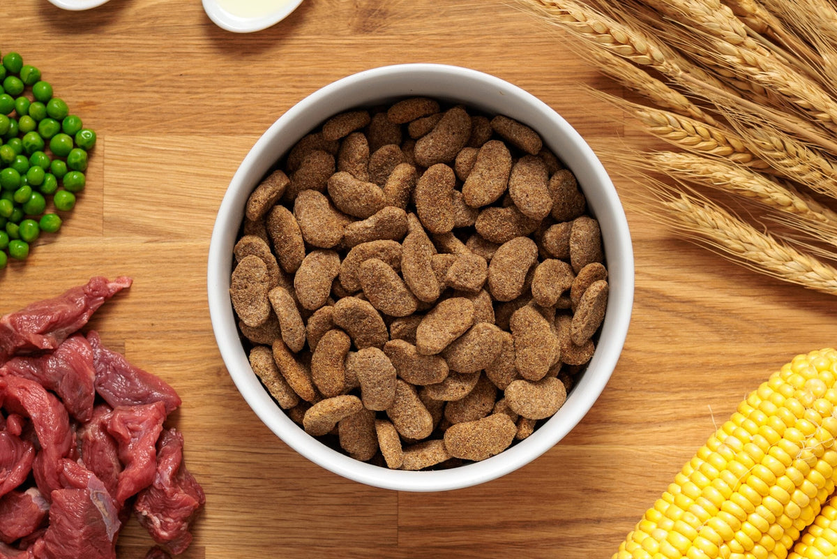 Dr John Silver Beef & Vegetables Dry Dog Food 15kg Dry Dog Food Dr John 