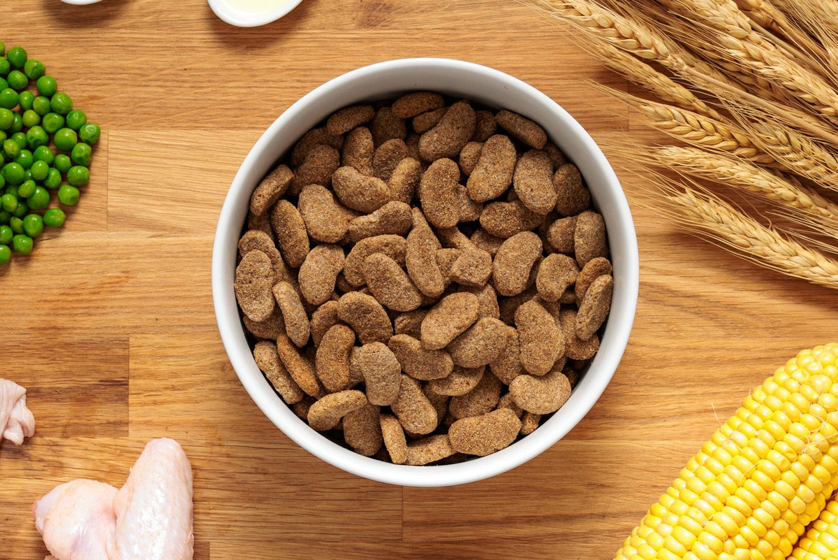 Dr John Silver Chicken & Vegetables Dry Dog Food 15kg Dry Dog Food Dr John 