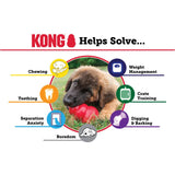 KONG Classic Large EU Dog Toys KONG 
