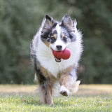 KONG Classic Medium EU Dog Toys KONG 
