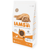 IAMS Kitten Chicken Dry Cat Food 2kg Dry Cat Food Iams 