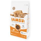 IAMS Adult Chicken Dry Cat Food 2kg Dry Cat Food Iams 