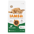 IAMS Adult Lamb Dry Cat Food 2kg Dry Cat Food Iams 