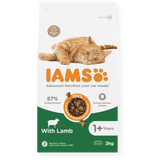 IAMS Adult Lamb Dry Cat Food 2kg Dry Cat Food Iams 