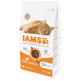 IAMS Senior 7+ Chicken Dry Cat Food 2kg Dry Cat Food Iams 