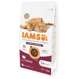 IAMS Sensitive Digestion Turkey Dry Cat Food 2kg Dry Cat Food Iams 