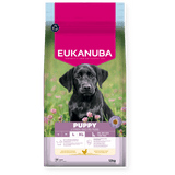 Eukanuba Puppy Large Breed Chicken Dry Dog Food 12kg Dry Dog Food Eukanuba 
