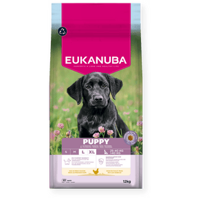 Eukanuba Puppy Large Breed Chicken Dry Dog Food 12kg Dry Dog Food Eukanuba 