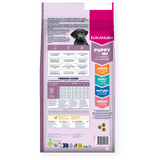 Eukanuba Puppy Large Breed Chicken Dry Dog Food 12kg Dry Dog Food Eukanuba 