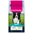 Eukanuba Active Adult Medium Breed Chicken Dry Dog Food 12kg Dry Dog Food Eukanuba 