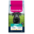 Eukanuba Active Adult Large Breed Chicken Dry Dog Food 12kg Dry Dog Food Eukanuba 