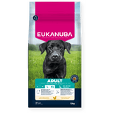 Eukanuba Active Adult Large Breed Chicken Dry Dog Food 12kg Dry Dog Food Eukanuba 