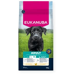 Eukanuba Active Adult Large Breed Chicken Dry Dog Food 12kg Dry Dog Food Eukanuba 