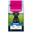 Eukanuba Mature Large Breed Chicken Dry Dog Food 12kg Dry Dog Food Eukanuba 