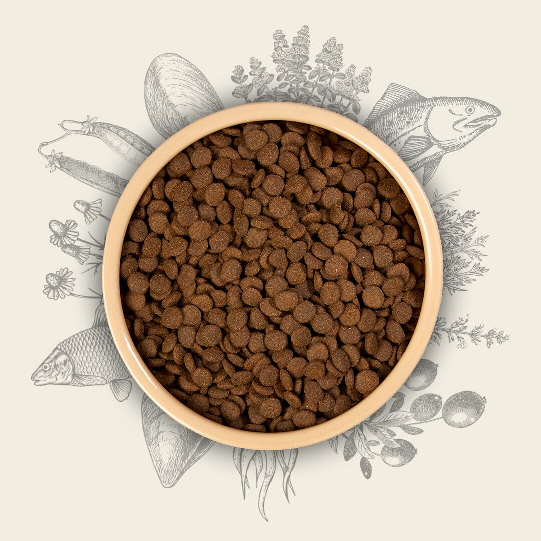 Eden Fish Cuisine 80/20 Working Dog Food 15kg – Medium Kibble Dry Dog Food Eden 
