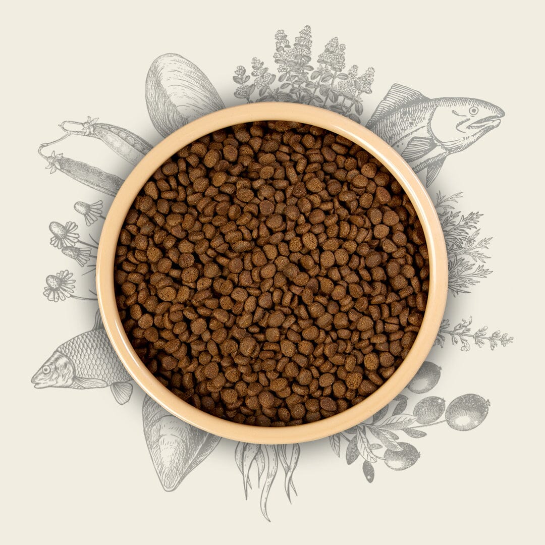 Eden Fish Cuisine 80/20 Working Dog Food 15kg – Small Kibble Dry Dog Food Eden 