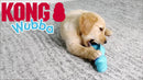 KONG Wubba Puppy Assorted Small EU Dog Toys KONG 