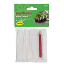 Ambassador Plant Labels 50pcs 4` Ambassador 