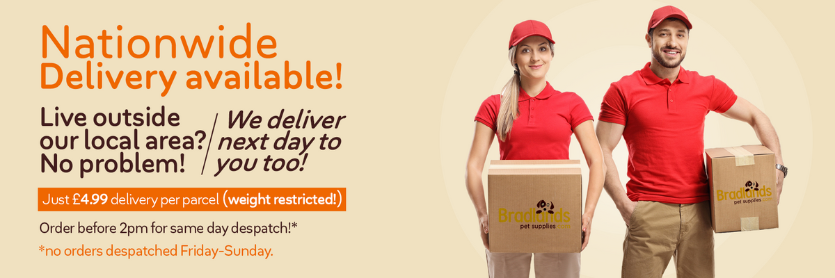 Next day delivery pet supplies hot sale