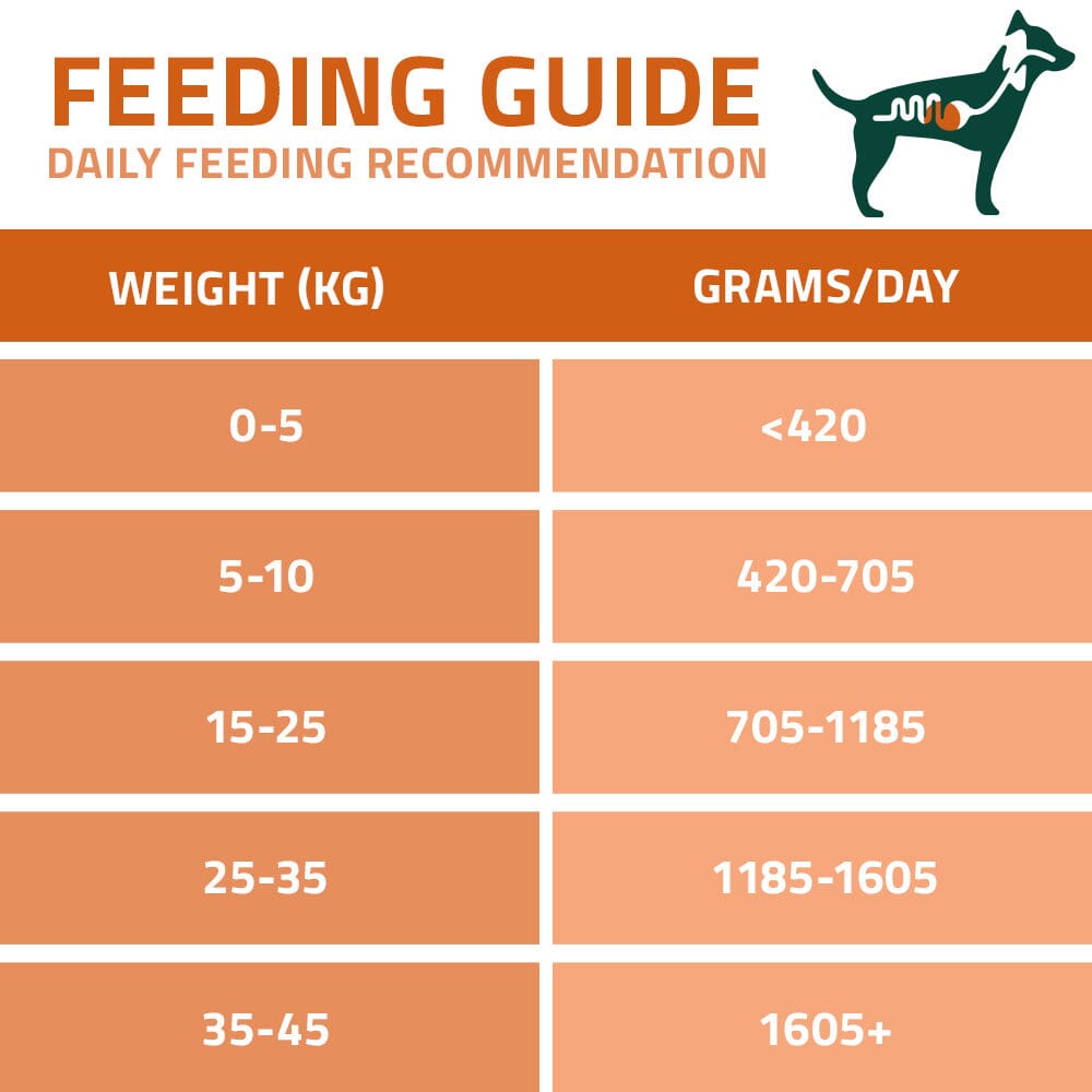 Arden Grange Gastrointestinal Wet Dog Food Duck 395g Arden Grange 