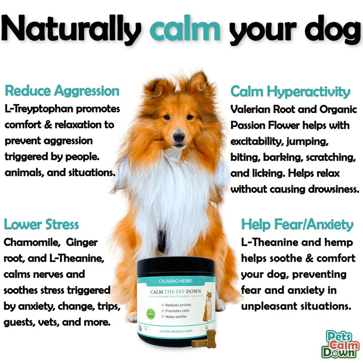 Calm The Eff Down Calming Dog Treat 90pk Pets Calm Down 