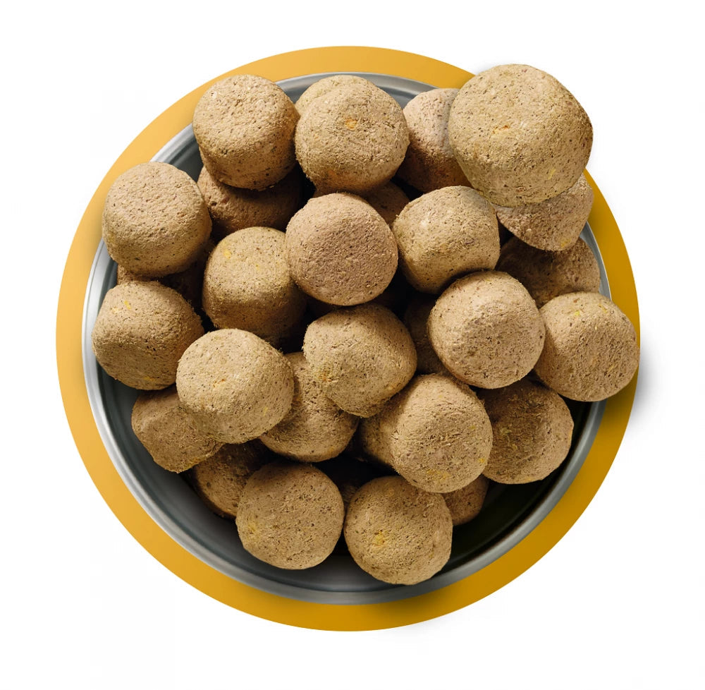Natures Menu Freeze Dried Chicken 120g Natures Menu 