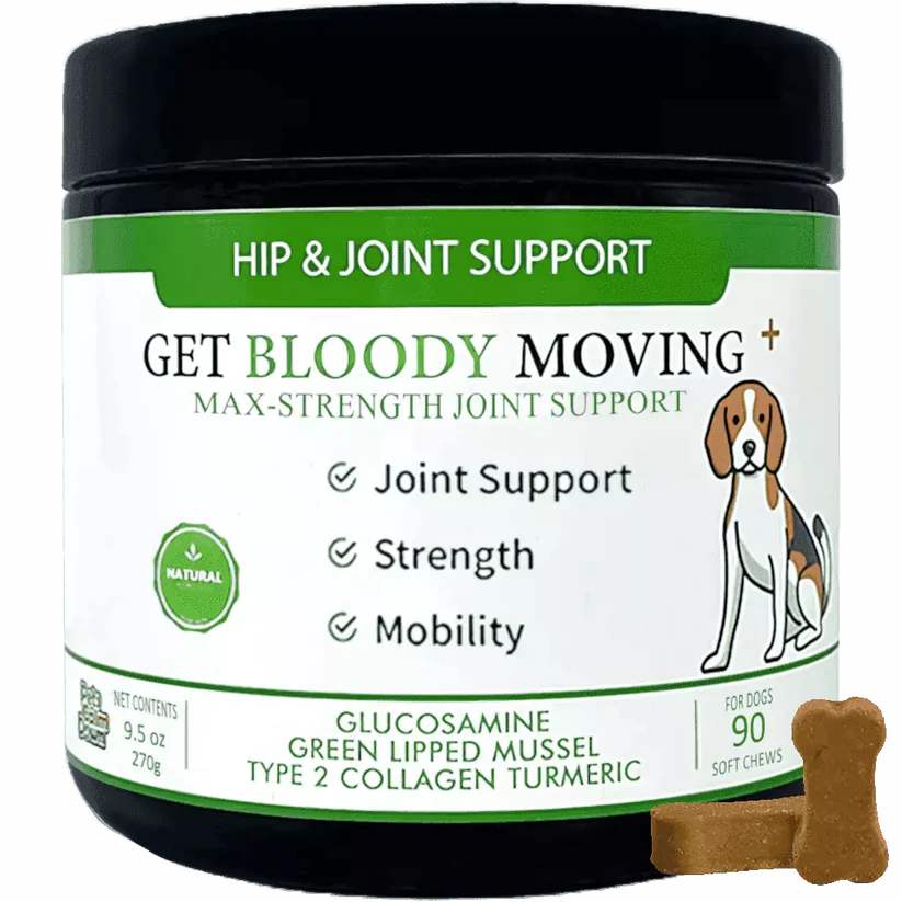 Get Bloody Moving Dog Treat 90pk Pets Calm Down 