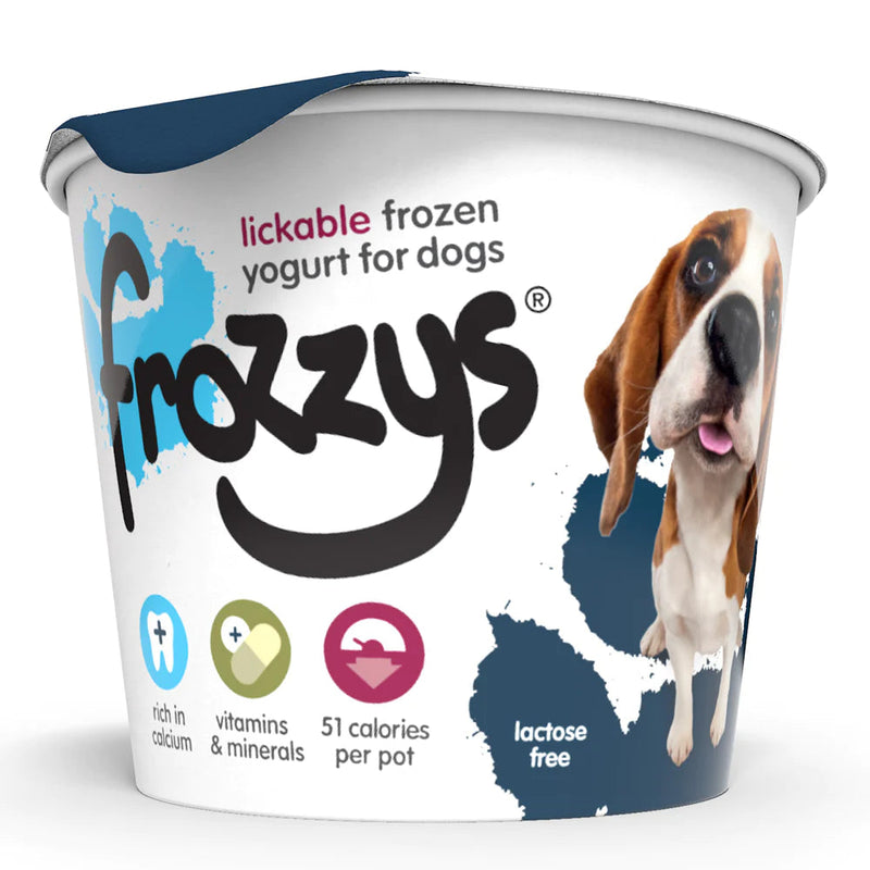 Frozzy Blueberry Frozen Yoghurt 85g Frozzy 
