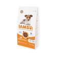 IAMS Puppy Small & Medium Breed Chicken Dry Dog Food 2kg Dry Dog Food Iams 