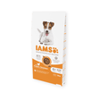 IAMS Senior 8+ Small & Medium Breed Chicken Dry Dog Food 12kg Dry Dog Food Iams 