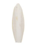 Regular Cuttlefish Individual - Size will Vary Classic 
