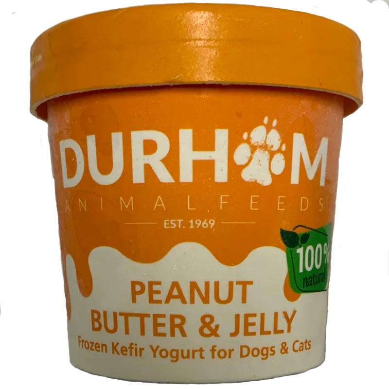 DAF Peanut Butter/Jelly Kefir Yogurt 85g ❄