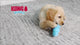 KONG Wubba Puppy Assorted Small EU