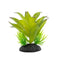 Pro Rep Sanseveria Plant 10cm Pro Rep 